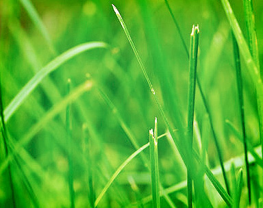 团购优惠的攻击网站在线工具